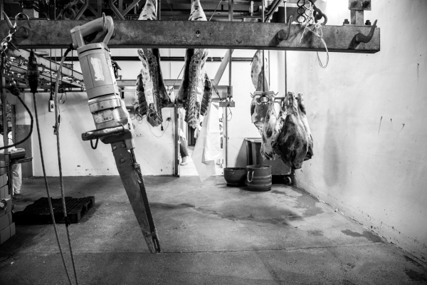 2014 02 19 Abattoir LuxeuilIMG 8684